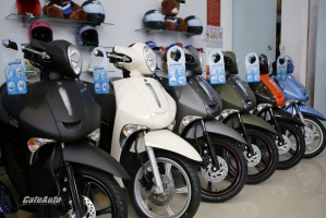 Top 4 Đại lý/ cửa hàng bán xe máy uy tín và chất lượng nhất tại Quy Nhơn,Bình Định
